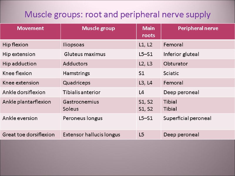 Muscle groups: root and peripheral nerve supply